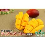 ショッピングふるさと納税 マンゴー ふるさと納税 マンゴー【2026年発送】新里農園のアップルマンゴー家庭用（約2kg）  沖縄県宜野座村