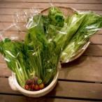 野菜ソムリエ推奨 鍋にの野菜詰め合わせセット