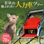 NJ-03 若草山 鹿ふれあいツアー 1名1台