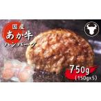 旨味 凝縮 あか牛 100% ハンバーグ 750g