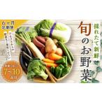 生産者応援 採れたて新鮮 旬のお野菜 詰め合わせセット