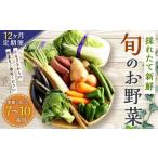 生産者応援 採れたて新鮮 旬のお野菜 詰め合わせセット