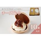 ありそうでなかった出会い チーズ最中 10個セット