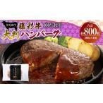 フジチク 藤彩牛 大判ハンバーグ 合計800g
