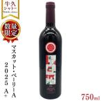 マスカット ベーリーA2025 A+ 750ml