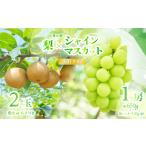 ショッピングふるさと納税 シャインマスカット ふるさと納税 シャインマスカット ＆ 梨 セット 先行予約 R8年産 シャインマスカット 茨城県下妻市