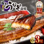 1469-1 大隅産うなぎ蒲焼 3尾