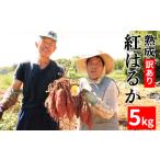 訳あり 熟成 紅はるか 5kg