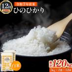 ヒノヒカリ 10kg×12回