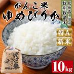 上士別清流米 ゆめぴりか 10kg