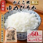 田舎塾特別栽培米 がんこ米ゆめぴりか 5kg×12回