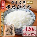 田舎塾特別栽培米 がんこ米ゆめぴりか 10kg×12回