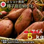種子島 まなつか農園 種子島安納いも 生いも
