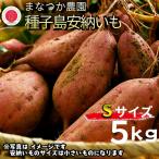 種子島 まなつか農園 種子島安納いも 生いも