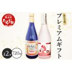 焼酎 いも 恒松酒造本店 本数 プレミアム セット