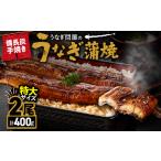 ふるさと納税 1744-1 うなぎ問屋の 備長炭手焼 うなぎ蒲焼 特大2尾400g KN029-001-02 うなぎ ウナギ 鰻 鰻蒲焼き ウナギ蒲焼 惣菜 総菜 魚類 .. 鹿児島県鹿屋市