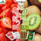 �ӂ邳�Ɣ[�� �������܂���700g�������Ïn���L�E�C1.8kg�Z�b�g�i���ϔ��j�y2027�N1�������J�n�z ���܂��� ������ � �C�`�S �L�E�C�t���[�c �ʕ�.. �����������s