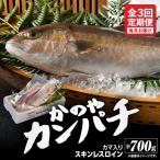 2154 かのやカンパチ スキンレスロイン