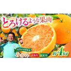 西込さんの美味しいみかん 約4kg