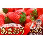 ふるさと納税 ★2026年出荷★ 福岡の名産いちごあまおう540g【着日指定不可】《2月中旬-4月末頃出荷》 大人気いちご 大人気あまおう | 絶品あま.. 福岡県鞍手町
