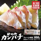 2141 かのやカンパチ フィーレ半身 お刺身10~15人前 800g