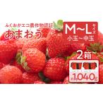 ふくおかエコ農作物認証あまおう M~Lサイズ
