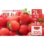 ふくおかエコ農作物認証あまおう M~Lサイズ