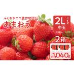 ふくおかエコ農作物認証あまおう 2Lサイズ