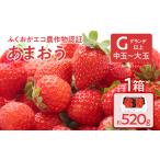 ふくおかエコ農作物認証あまおう G以上