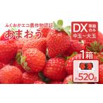 ふくおかエコ農作物認証あまおう DX等級のみ