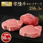 ヒレステーキ 250g