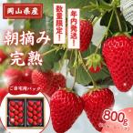 朝摘み 完熟いちご 800g