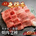 飛騨牛 ミックスカルビ&もも赤身焼肉 520g