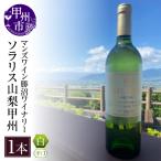 ワイン 白ワイン ソラリス 山梨甲州 辛口 B15-603