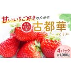 ふるさと納税 いちご【2026年1月〜発送予定】 古都華いちご（270ｇ×4P） drm001 奈良県奈良市