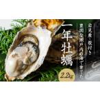 H-11 室津産殻つき牡蠣2.2kg