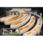 ふるさと納税 餃子風生ソーセージ 12本【日光HIMITSU豚と日光産ニラとニンニク使用】|日光ひみつ豚 オードブル ウインナー 加工肉 豚肉 銘柄豚 .. 栃木県日光市
