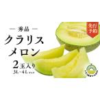 ふるさと納税 メロン クラリスメロン 秀品 1箱 2玉 メロン メロン メロン メロン メロン メロン メロン メロン 茨城県八千代町