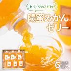 ひみつのこだわり 陽蜜みかんゼリー パウチ6個