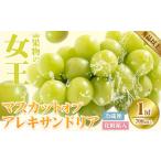 マスカット オブ アレキサンドリア 700g×1房