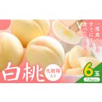 白桃 6玉
