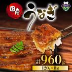 うなぎ 蒲焼 120g