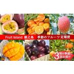 フルーツアイランド徳之島 季節のフルーツ定期便