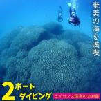 ダイビング 奄美の海を満喫 2ボートダイビング