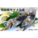奥阿蘇 ヤマメ 80g×10匹