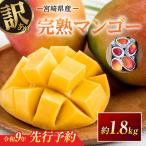 訳あり 完熟マンゴー 約1.8kg
