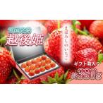 ふるさと納税 いちご 新潟 雪国完熟越後姫シングル(約380g)ギフト箱入り イチゴ 苺 フルーツ お取り寄せ 贈り物 上越 新潟県上越市