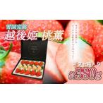 ふるさと納税 いちご 雪国完熟越後姫桃薫シングル(約380g)ギフト箱入り 食べ比べ セット イチゴ 苺 果物 フルーツ 新潟 新潟県上越市