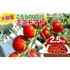 ごろうのはたけ ミニトマト 2.5kg