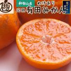 有田みかん 完熟 10kg+250g